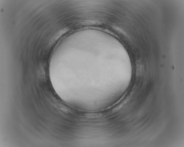 X0000076221305200610122040