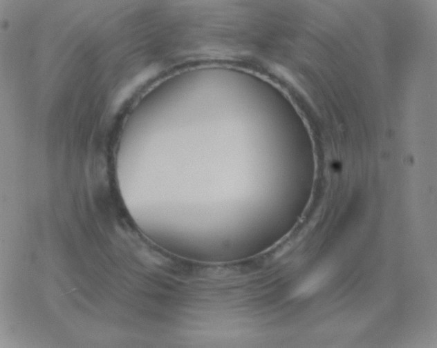 X0000076221307200610122040