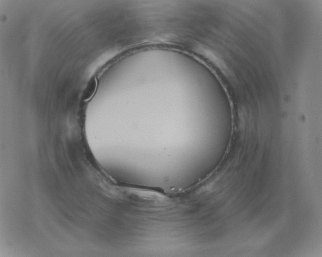 X0000076221308200610122040