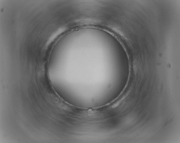 X0000076221309200610122040