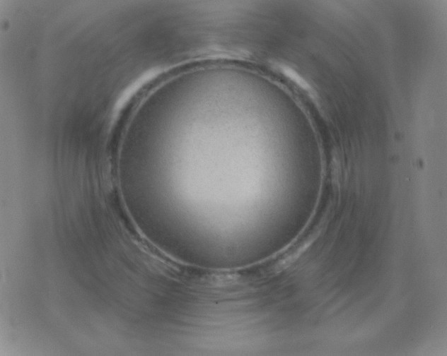 X0000076221310200610122040