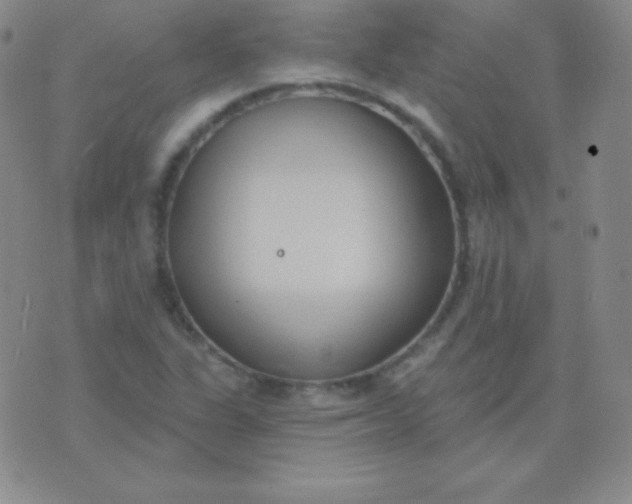 X0000076221311200610122040