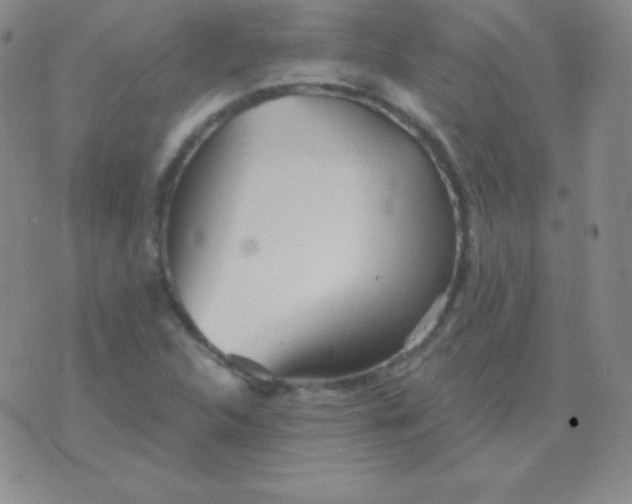 X0000076221312200610122040