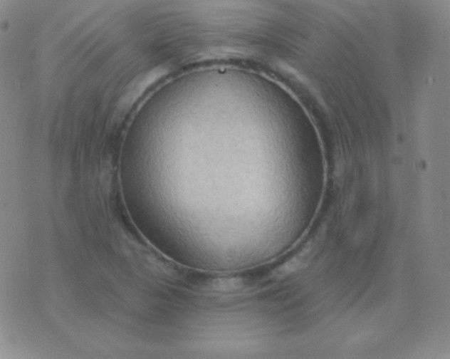 X0000076221313200610122040