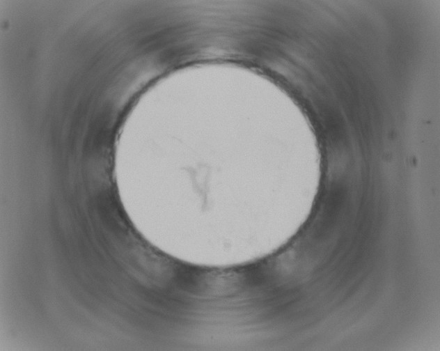 X0000076221314200610122040