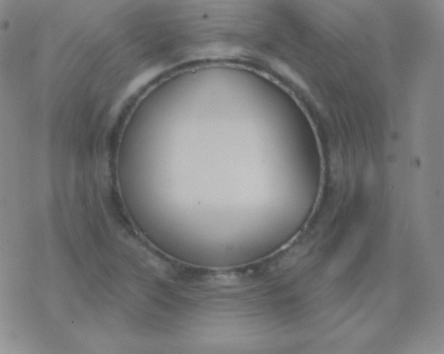 X0000076221315200610122040