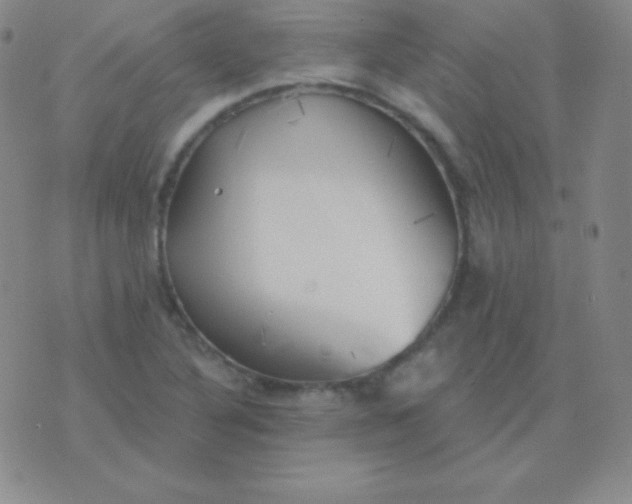 X0000076221316200610122040