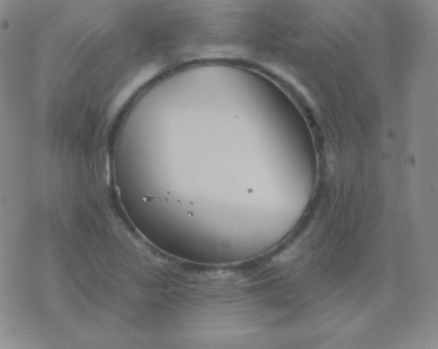 X0000076221317200610122040