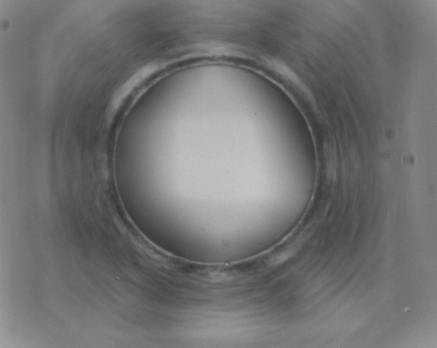 X0000076221318200610122040