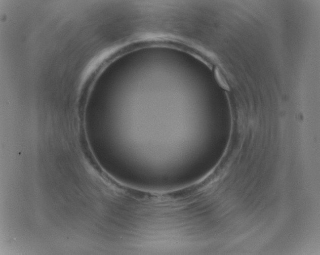 X0000076221319200610122040