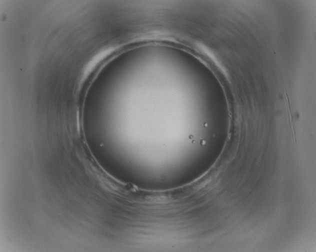 X0000076221320200610122040