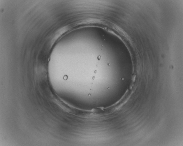 X0000076221321200610122040