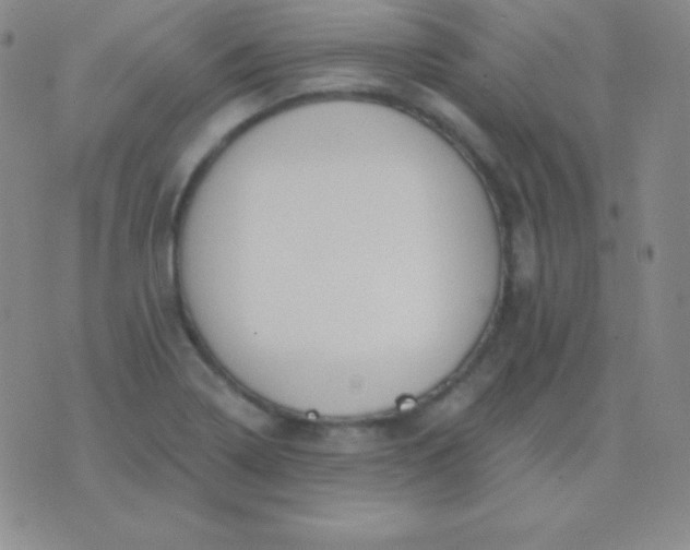 X0000076221322200610122040