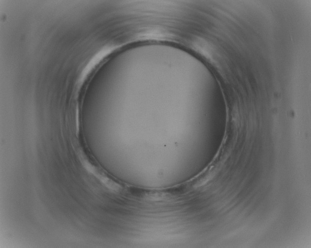 X0000076221323200610122040