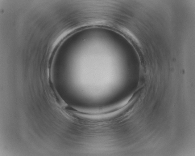 X0000076221324200610122040