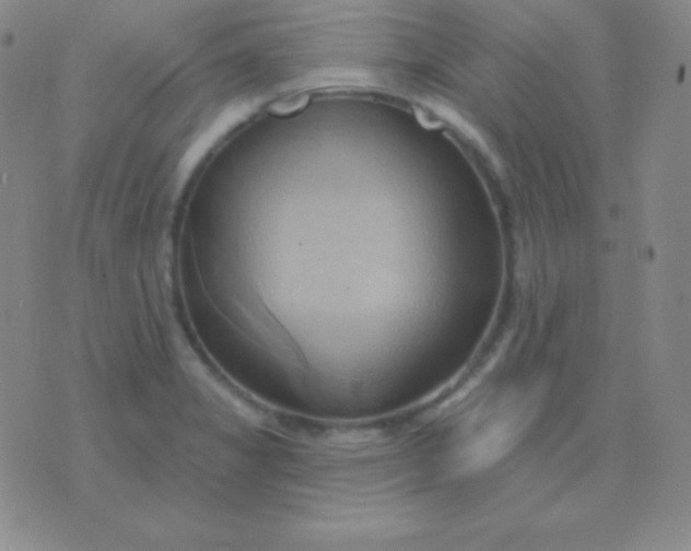 X0000076221325200610122040