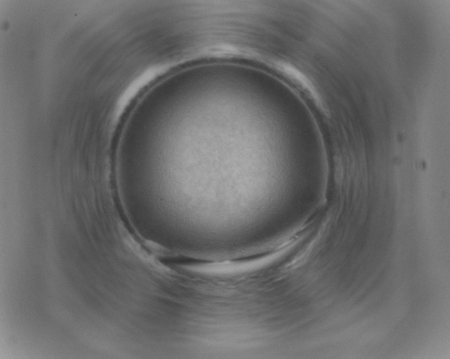 X0000076221326200610122040