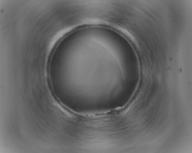 X0000076221327200610122040