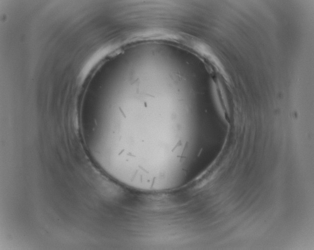 X0000076221328200610122040