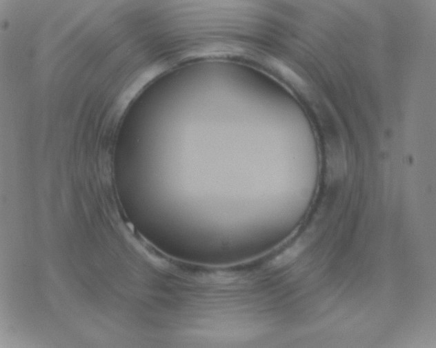 X0000076221329200610122040