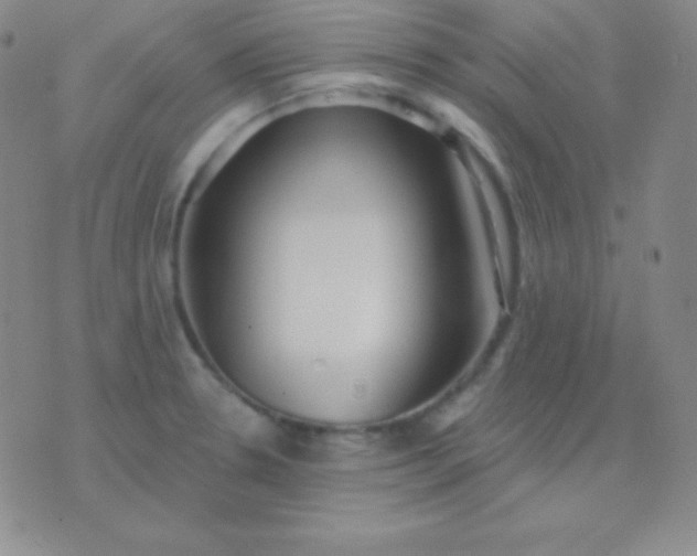 X0000076221330200610122040