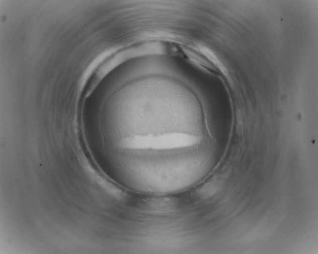 X0000076221331200610122040