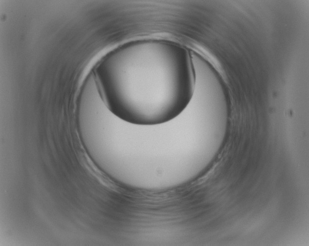 X0000076221332200610122040