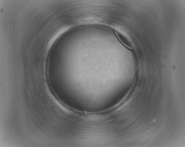 X0000076221333200610122040