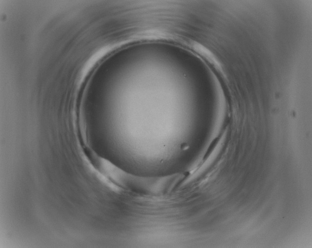 X0000076221334200610122040