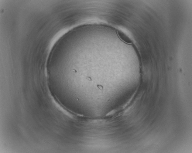 X0000076221335200610122040