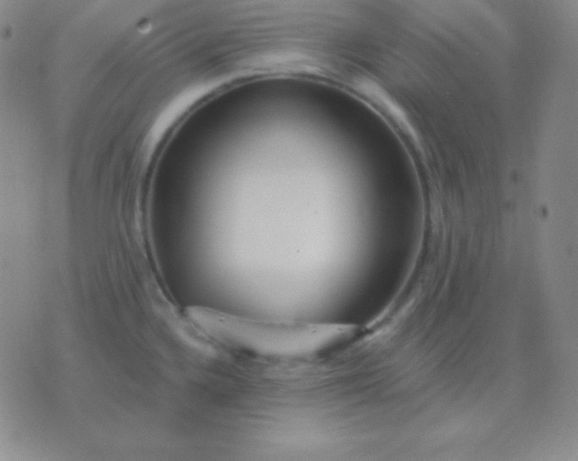 X0000076221336200610122040