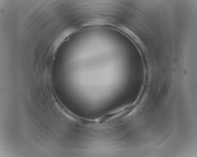 X0000076221337200610122040