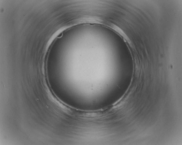 X0000076221339200610122040