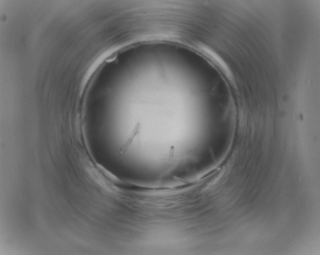 X0000076221340200610122040