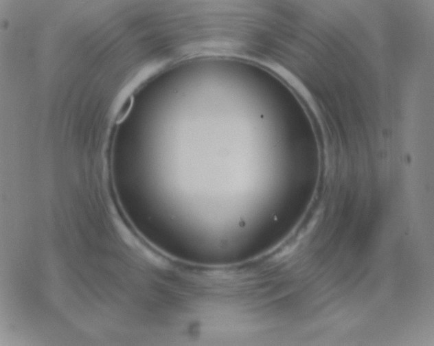 X0000076221341200610122040