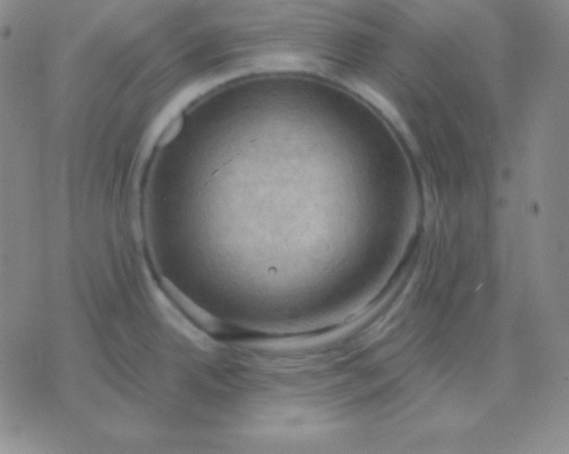 X0000076221342200610122040