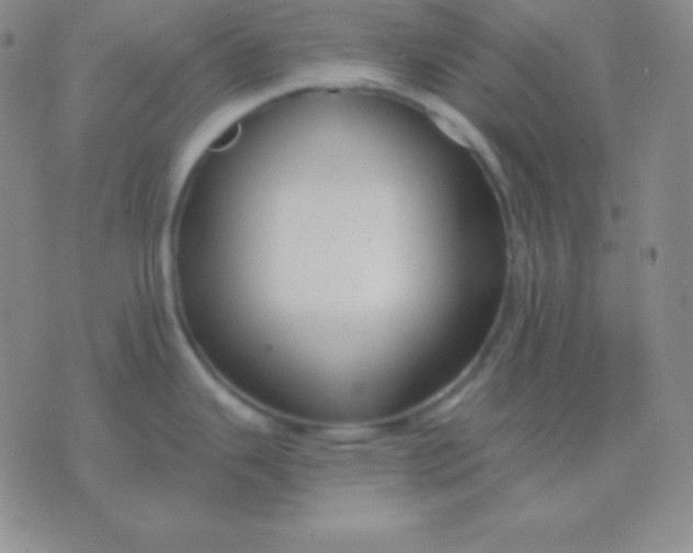 X0000076221343200610122040