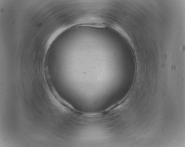 X0000076221344200610122040