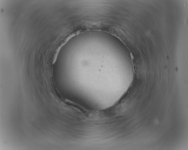 X0000076221345200610122040