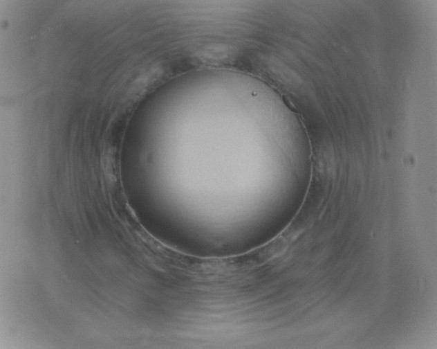 X0000076221346200610122040