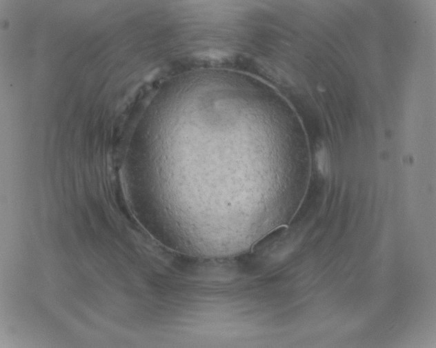 X0000076221347200610122040