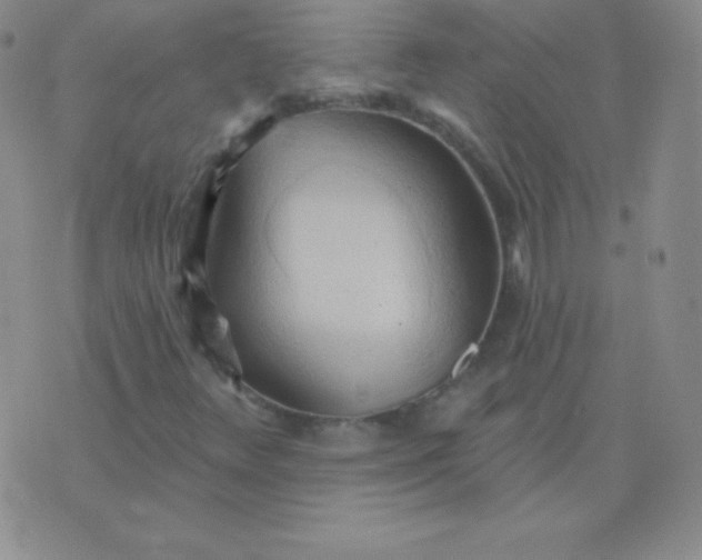 X0000076221348200610122040