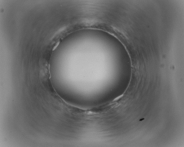 X0000076221349200610122040