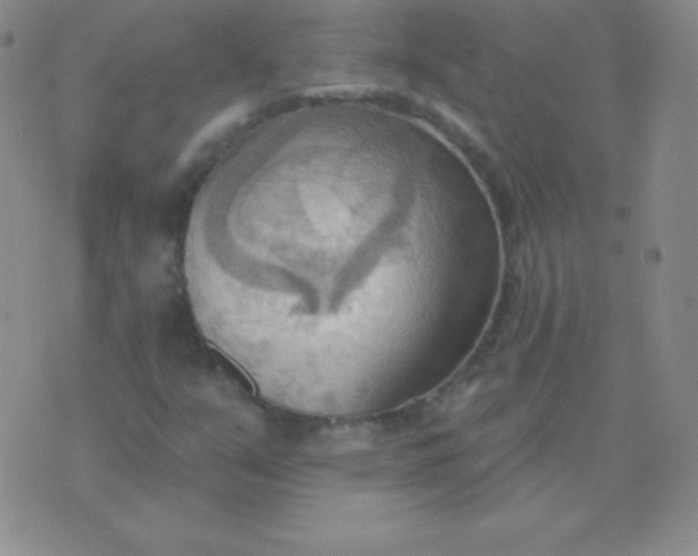 X0000076221351200610122039