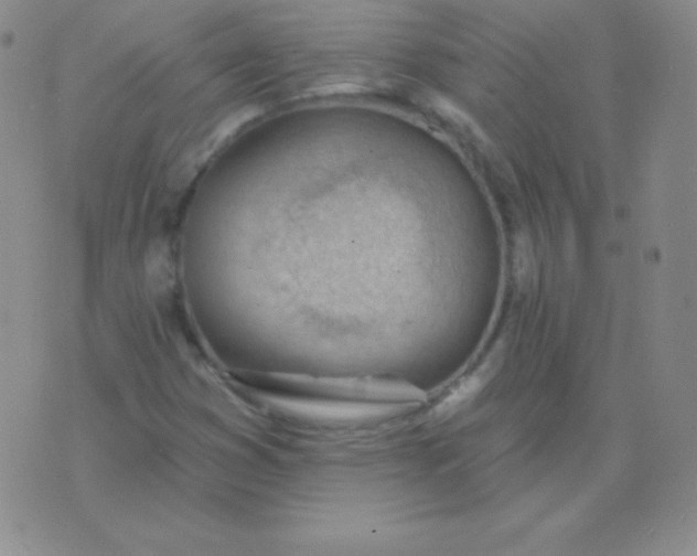 X0000076221353200610122039