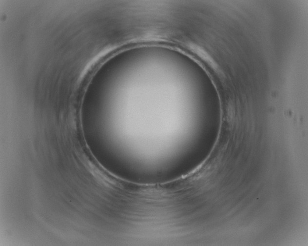 X0000076221356200610122039