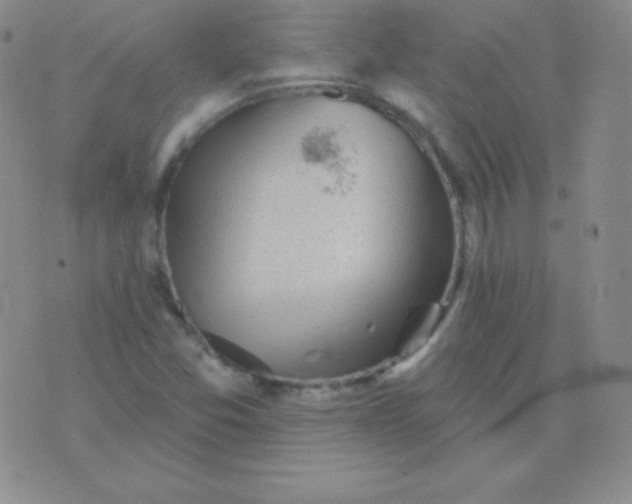 X0000076221357200610122039