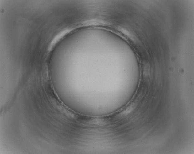 X0000076221358200610122039