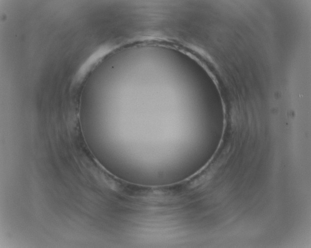 X0000076221359200610122039