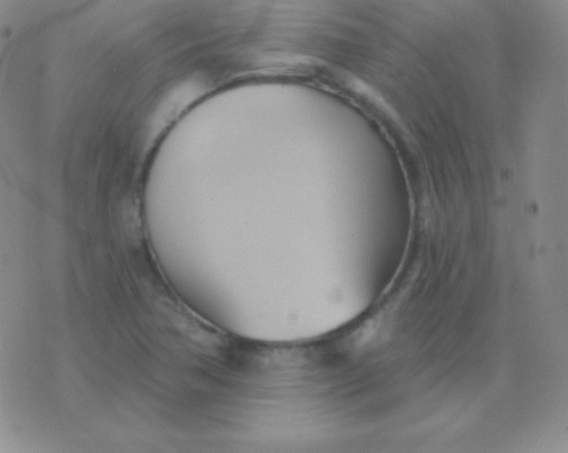 X0000076221362200610122039